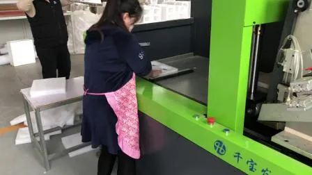 Lamination Equipment Laminating Machine for PE EPE XPE XLPE EPP EPS with CE Certificate